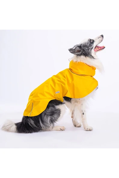 Pawstar Sarı Colombia Orta ve Büyük Irk Köpek Yağmurluğu Köpek Kıyafeti Köpek Elbisesi ürün görseli 1