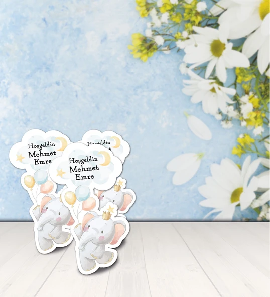 Kişiye Özel Hoşgeldin Bebek Ahşap Magnet Doğum Günü ürün görseli 1