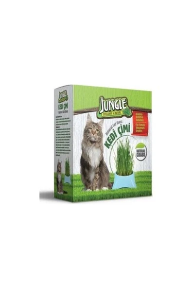 Jungle Kedi Çimi Kutulu (FİLELİ) ürün görseli 1
