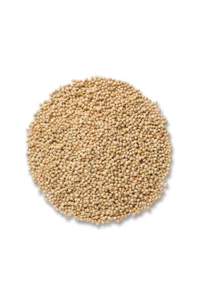 Ak Darı Beyaz Darı 1 Kg ürün görseli 1