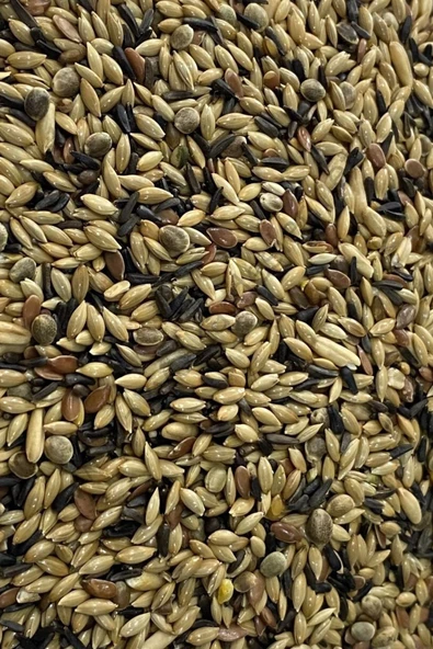 Karışık Kanarya Yemi - 250 Gram ürün görseli 1