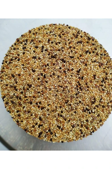 Vivid Muhabbet Yemi 5 Kg ürün görseli 1