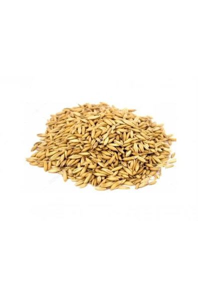 Soyulmuş (iç) Yulaf 1kg Tüm Kuşlar için ürün görseli 1