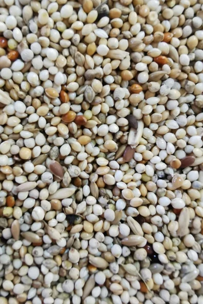 Karışık Muhabbet Kuşu Yemi 1 kg ürün görseli 1