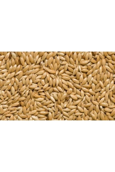 Aspur Sade Kanarya Yemi 1 Kg ürün görseli 1