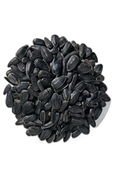 Mikro Siyah Küçük Çekirdek Papağan Yemi 500 gr (ÖZEL VAKUMLU AMBALAJ) ürün görseli 1