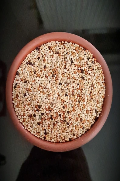 Ankara Yem Evi Karışık Muhabbet Kuşu Yemi 5 Kg ürün görseli 1