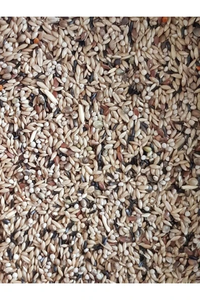 Vivid Kanarya Yemi Karışık 500 Gram ürün görseli 1