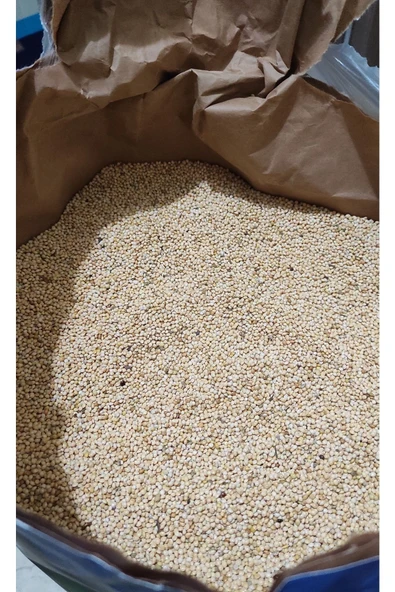 Ak Darı Kuş Yemi 1 Kg ürün görseli 1