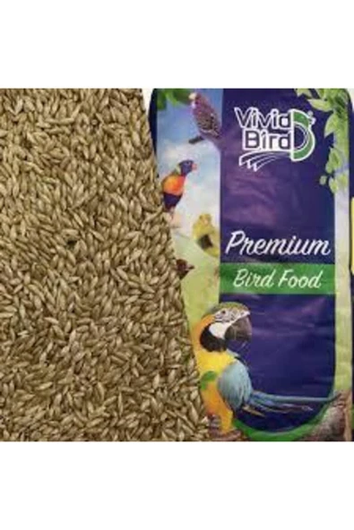 Vivid Bird Aspur (SADE KANARYA YEMİ) - 500gr - Resim 2