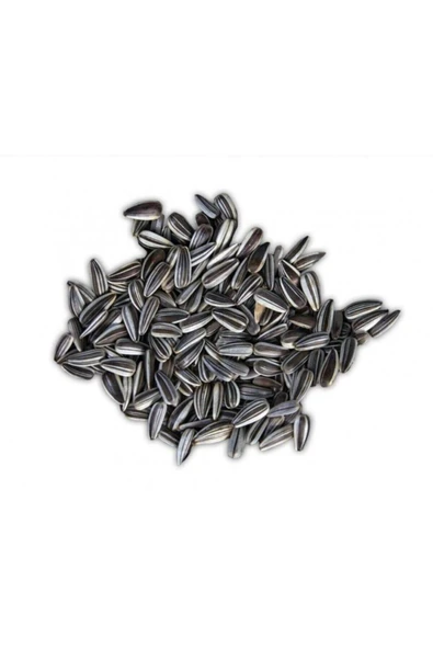 Vivid Siyah Çizgili Papağan Çekirdeği 1 Kg ürün görseli 1