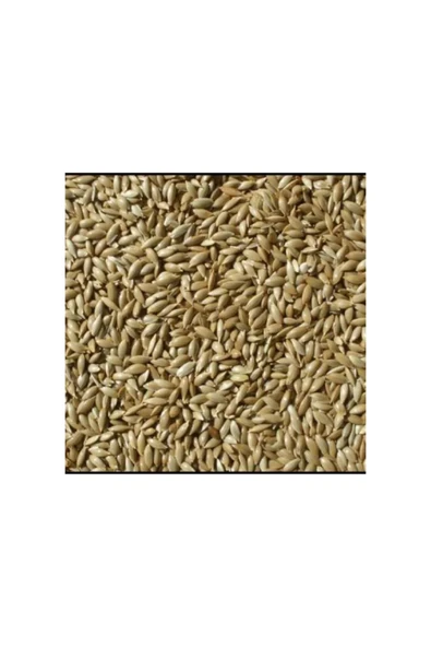 Katzoo Kanarya Yemi Sade ( 2kg Açık ) ürün görseli 1