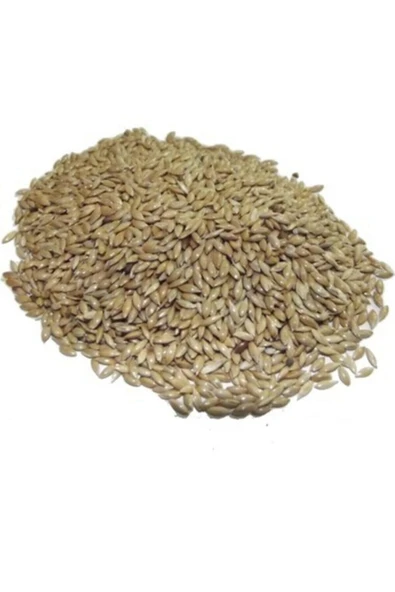 Vivid Bird Aspur (SADE KANARYA YEMİ) - 500gr ürün görseli 1