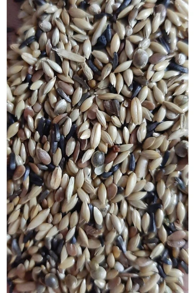 Süper Karışık Kanarya Yemi 1 Kg ürün görseli 1