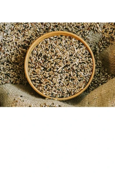 Karışık Kanarya Yemi 1 Kg ürün görseli 1