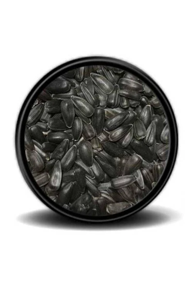 Vivid Bird Paraket Küçük Siyah Çekirdek 500 Gr ürün görseli 1
