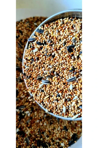 Forpus Papağanı Yemi 1 Kg ürün görseli 1