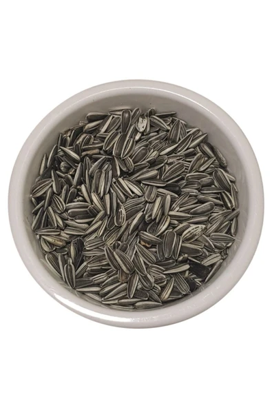 Vivid Çizgili Alaca Çekirdek 2 Kg ürün görseli 1