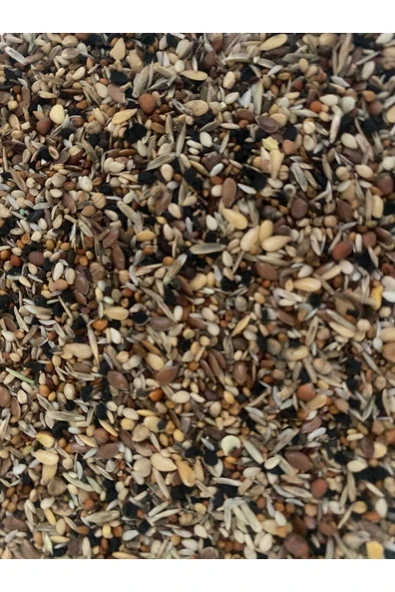 Versele Laga Kondisyon Sağlık Tohumu 250 gr ürün görseli 1
