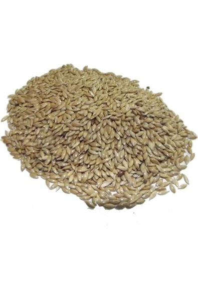 Sade Kanarya Yemi Aspur 1 kg ürün görseli 1