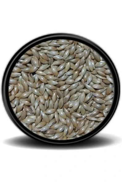 Vivid Sade Kanarya Yemi Aspur 500 Gr ürün görseli 1