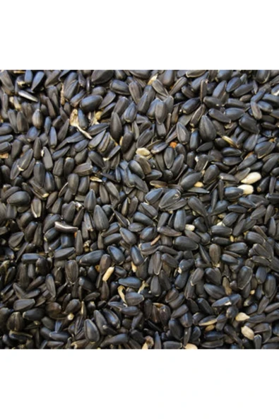 Mikro Siyah Çekirdek1 Kg ürün görseli 1