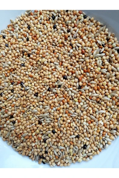 Muhabbet Kuşu Yemi Açık 1 Kg ürün görseli 1