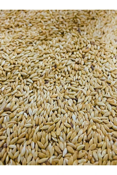 Aspur 1 Kg ürün görseli 1