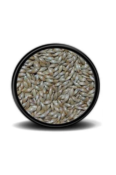 grpet Aspur 5kg ürün görseli 1