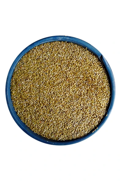 Aspur Sade Kanarya Yemi - 5 Kg ürün görseli 1