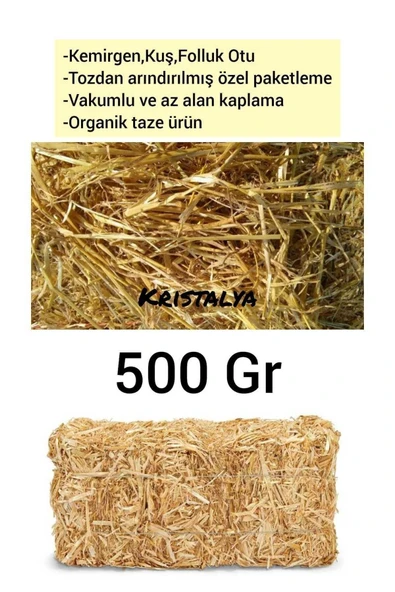 Canbay Doğal Ürünle 500 gr Arpa Samanı - Kemirgen Otu - Kuş Otu - Folluk Otu - Sürüngen Otu - Yavrulama Altlığı ürün görseli 1