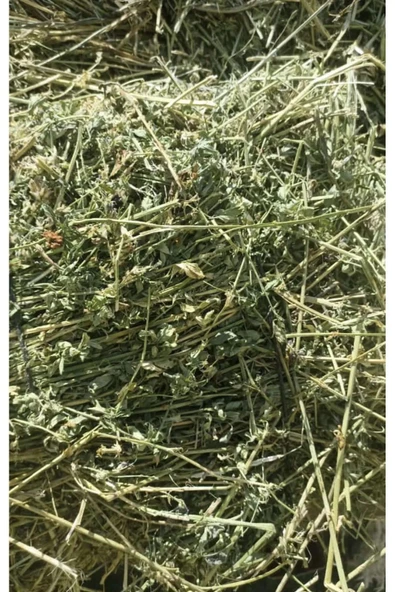 Kuru Yonca Kemirgen Otu 1,5 Kg Bol Çiçekli ürün görseli 1