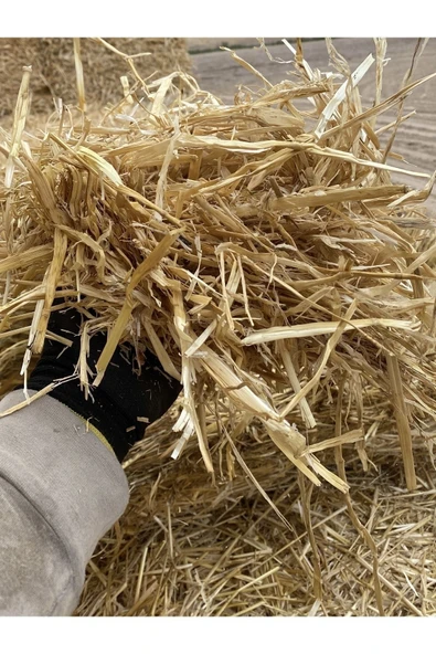 Kemirgen Saman Otu Uzun Boy (ÖZEL ÜRÜN) Folluk Ve Kemirgen Otu 2 Kg ürün görseli 1