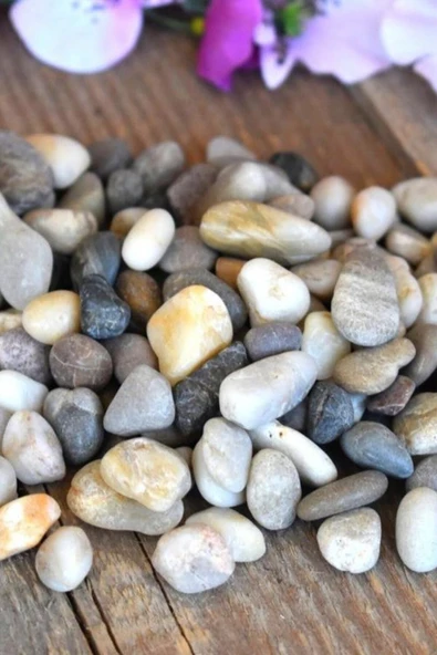 YENİ HEDİYELİK DÜNYAM 1 Kg Çakıl Taşı, Doğal Karışık Renkli Taşlar, Küçük Dekoratif Nehir Taşları ürün görseli 1