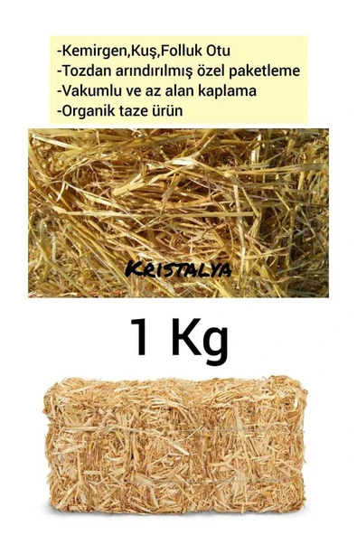 Canbay Doğal Ürünler 1 Kg Arpa Samanı - Kemirgen Otu - Kuş Otu - Folluk Otu - Sürüngen Otu - Yavrulama Altlığı ürün görseli 1