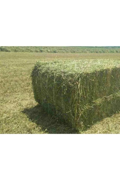 Yonca Kemirgen Otu 1 Kg ürün görseli 1