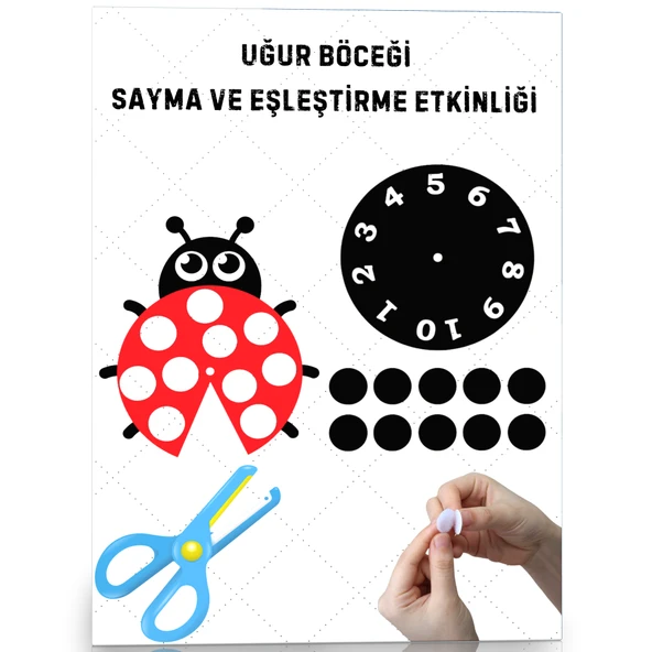 Uğur Böceği Sayma ve Eşleştirme Etkinliği (Cırt Cırtlı) ürün görseli 1