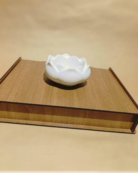 Minelly Lotus - Resim 3