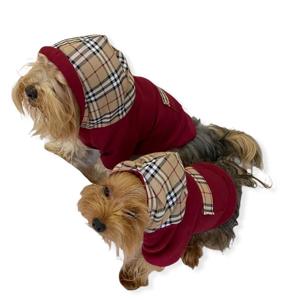 Bb Limited Bordo Kapşonlu Köpek Sweatshirt - Resim 8