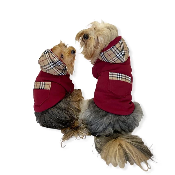 Bb Limited Bordo Kapşonlu Köpek Sweatshirt ürün görseli 1
