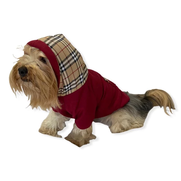 Bb Limited Bordo Kapşonlu Köpek Sweatshirt - Resim 3