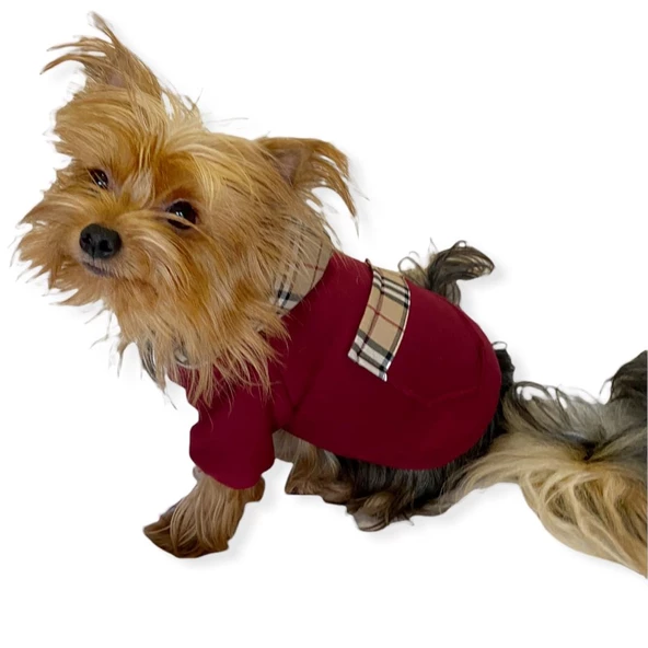 Bb Limited Bordo Kapşonlu Köpek Sweatshirt - Resim 7