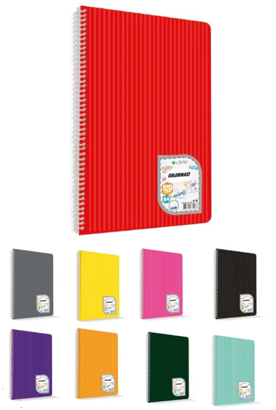 Çınar 73005 Colormaxı Sipiralli A4 Pp Kapak 96 Yp Kareli Defter ürün görseli 1
