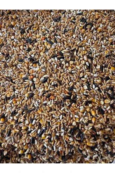 YEM 25 Kg Zengin Karışık Tavuk Yemi Güvercin Yemi (Buğdaylı) ürün görseli 1