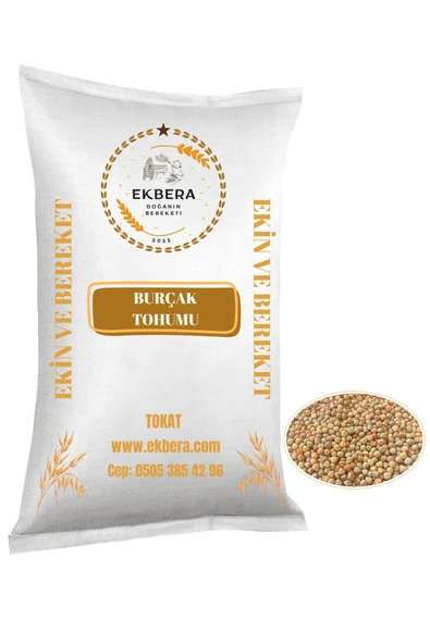 EKBERA Burçak (Müdürmük) Tohumu 1 Kg  Ekimlik - Yemlik - Diyet Dostu - Çok Amaçlı ürün görseli 1