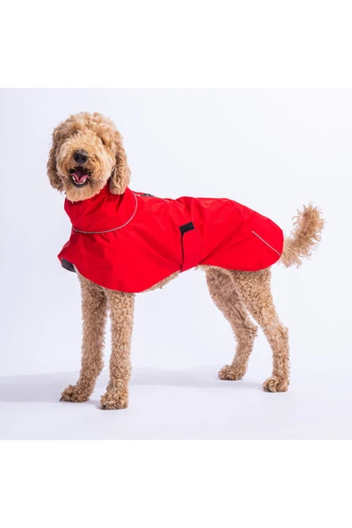 Pawstar Kırmızı Colombia Orta Ve Büyük Irk Köpek Yağmurluğu Köpek Kıyafeti Köpek Elbisesi ürün görseli 1