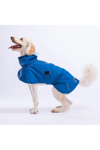 Pawstar Mavi Colombia Orta ve Büyük Irk Köpek Yağmurluğu Köpek Kıyafeti Köpek Elbisesi ürün görseli 1