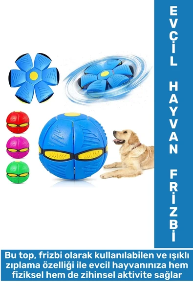 Eğlenceli İnteraktif Fiziksel Zihinsel Gelişim Işıklı Zıplayan Frizbi Kedi Köpek Evcil Hayvan Topu ürün görseli 1