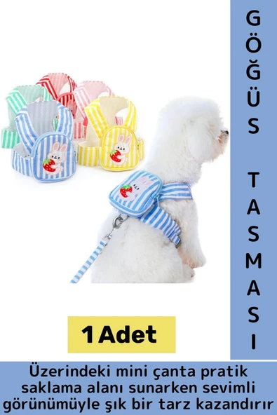 Yüksek Kaliteli Şık Sevimli Küçük Irk Kedi Köpek Evcil Hayvan Çantalı Göğüs Gezdirme Tasması Seti ürün görseli 1