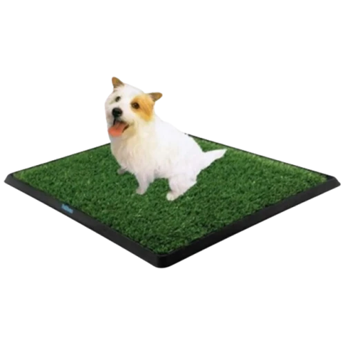 Petzoo Köpek Çiş Eğitim Tuvaleti  Küçük Boy ürün görseli 1